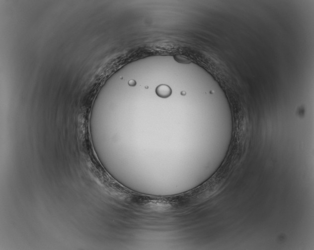 X0000116670749200912291658