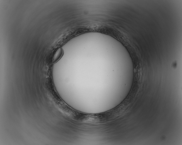 X0000116670750200912291658