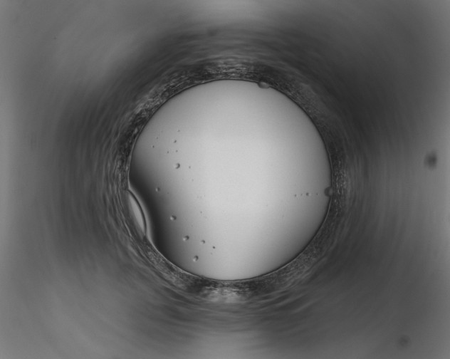 X0000116670751200912291658