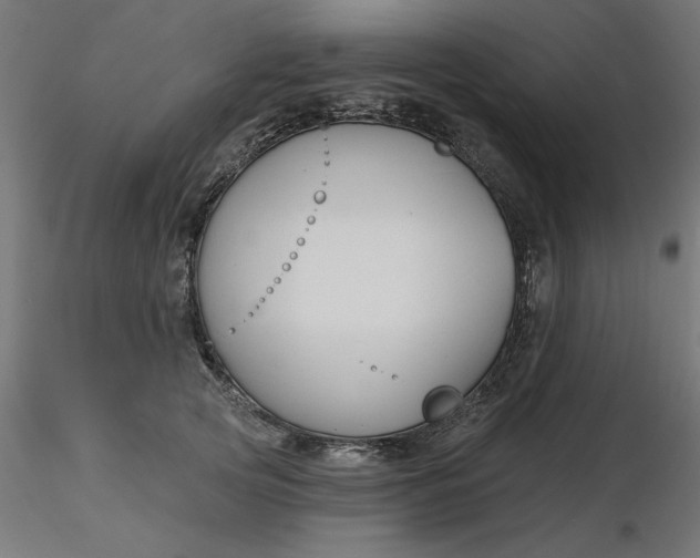 X0000116670753200912291658