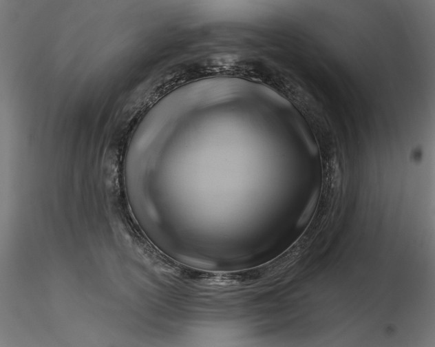 X0000116670754200912291658