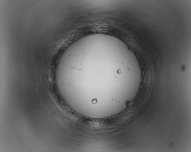 X0000116670755200912291658