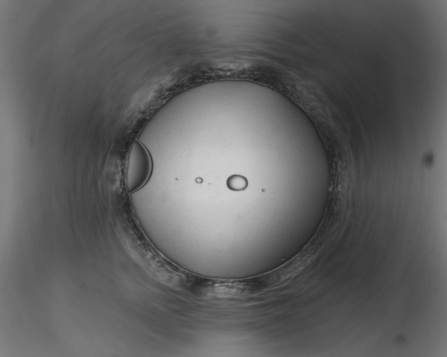 X0000116670758200912291658