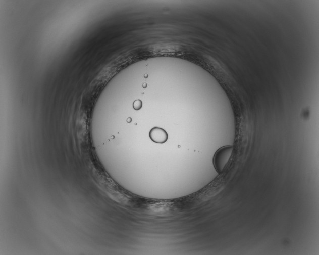 X0000116670761200912291658