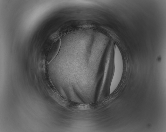 X0000116670762200912291658