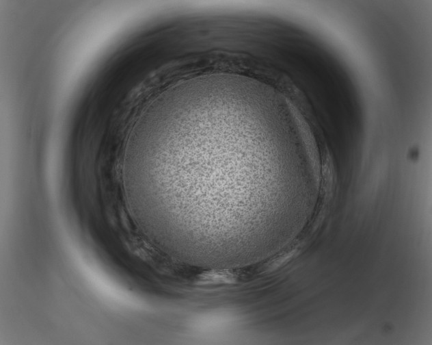 X0000116670765200912291658