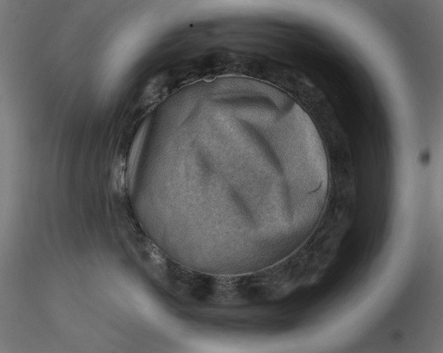 X0000116670766200912291658