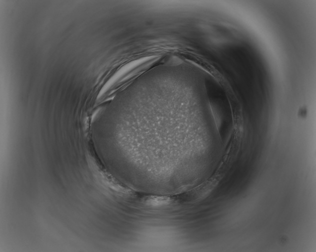 X0000116670767200912291658