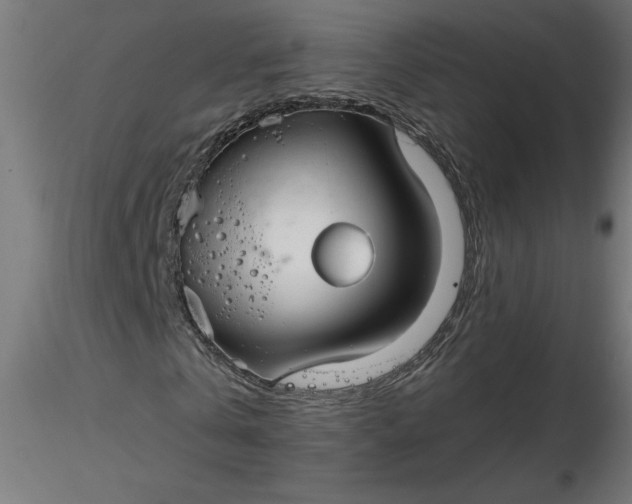 X0000116670769200912291657