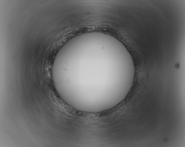 X0000116670770200912291657