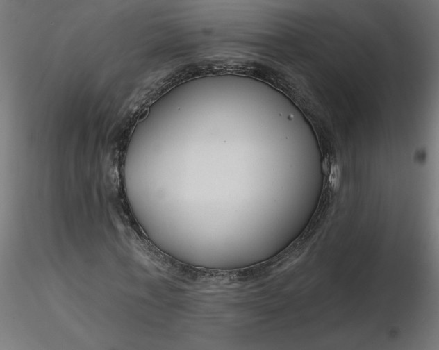 X0000116670771200912291657