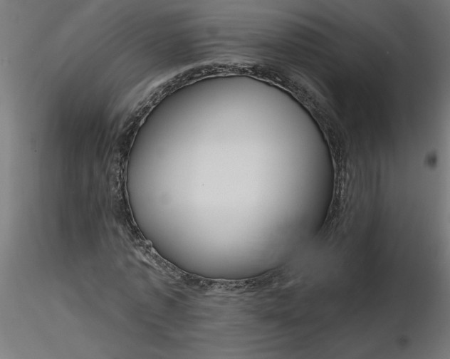 X0000116670773200912291657