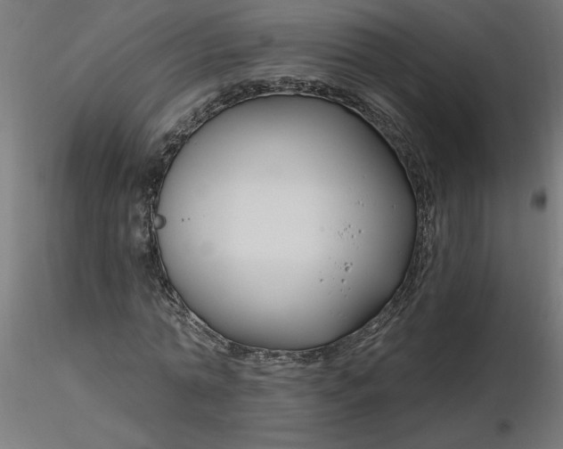 X0000116670774200912291657