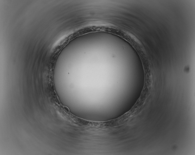 X0000116670775200912291657