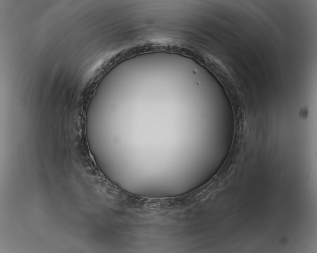 X0000116670776200912291657