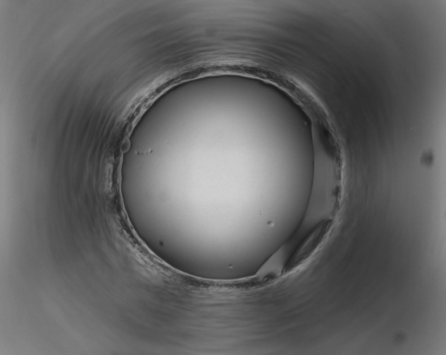 X0000116670777200912291657