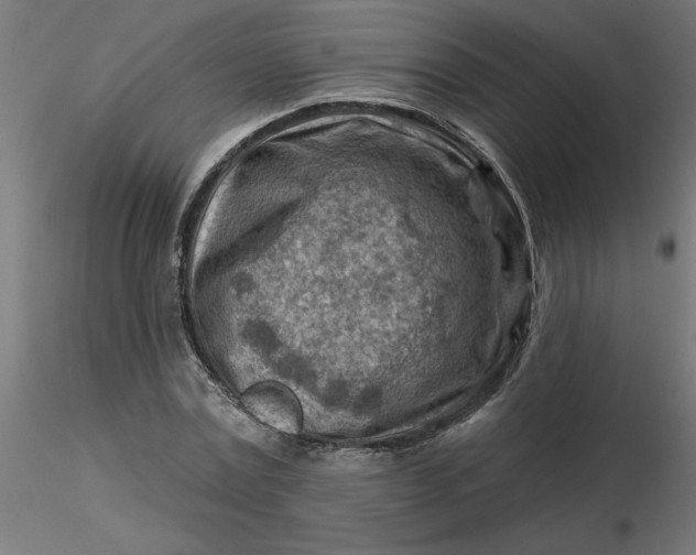 X0000116670779200912291657