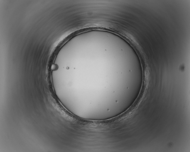 X0000116670780200912291657