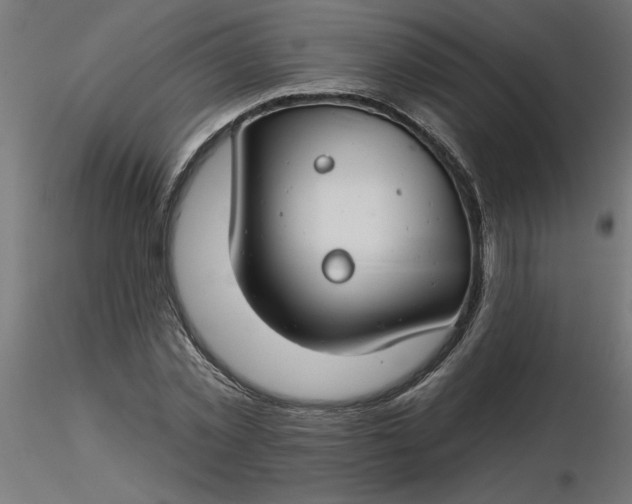 X0000116670781200912291657