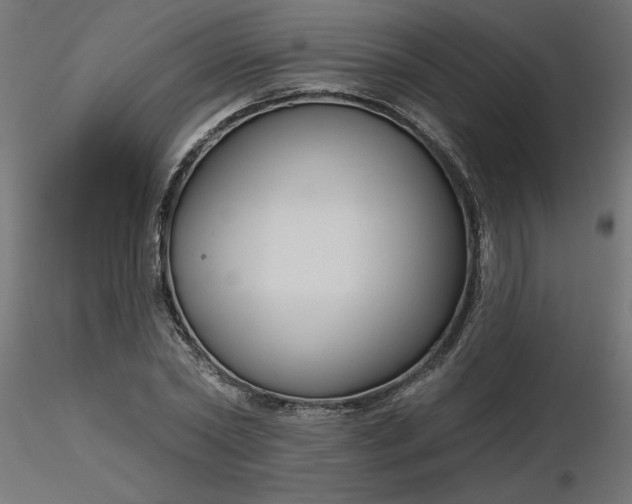 X0000116670782200912291657