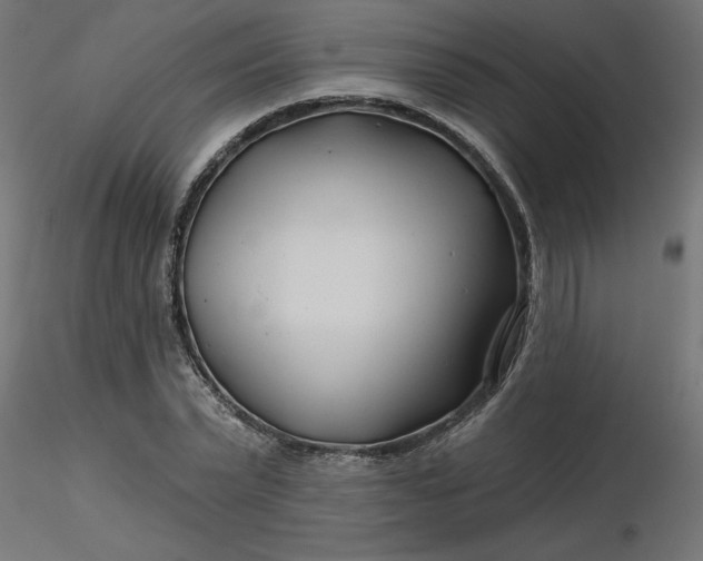 X0000116670783200912291657