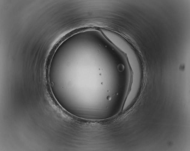 X0000116670784200912291657