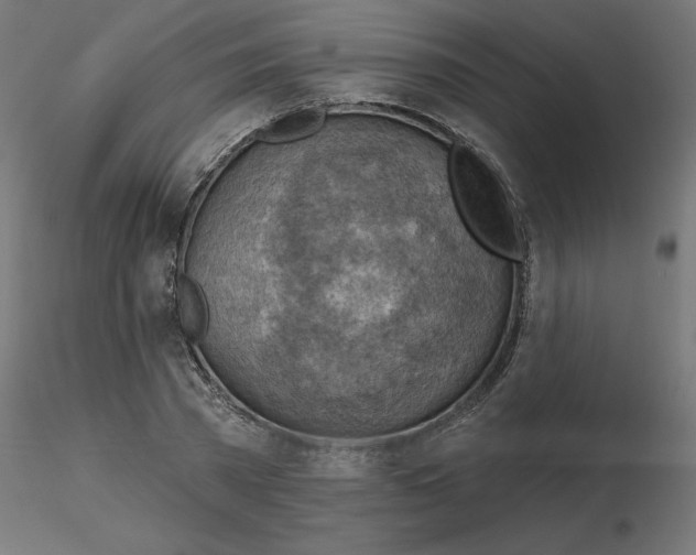 X0000116670785200912291657