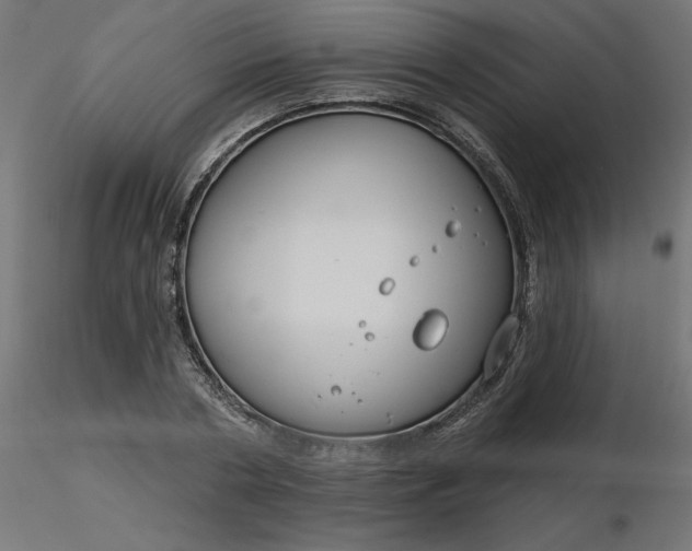 X0000116670786200912291657