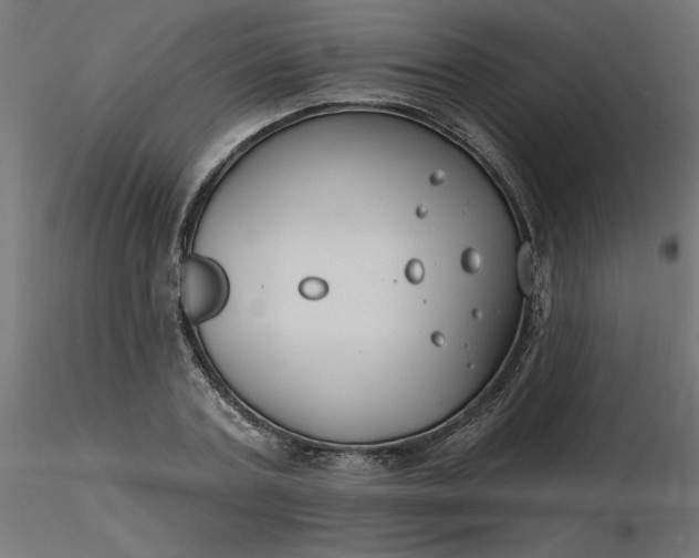 X0000116670787200912291657