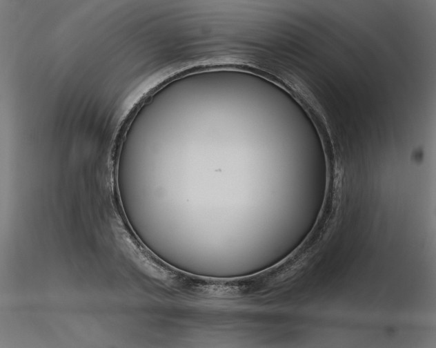 X0000116670789200912291657