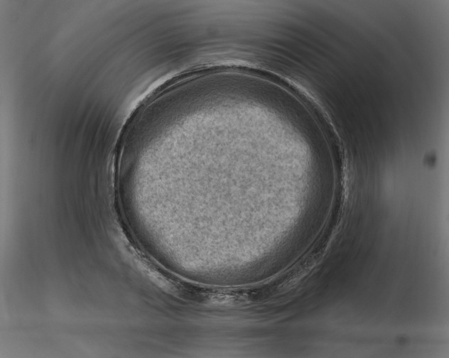 X0000116670790200912291657