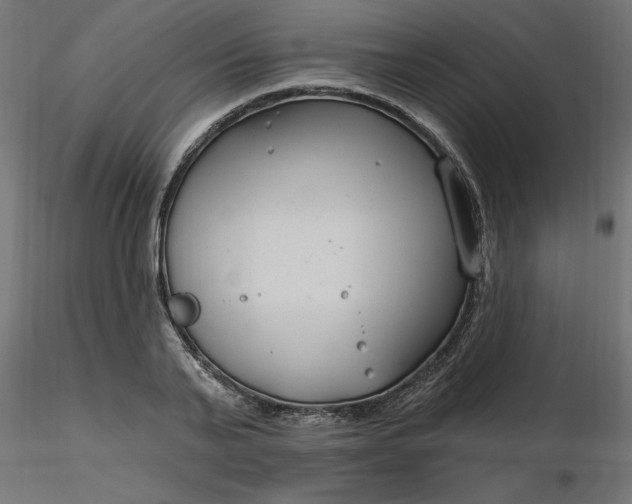 X0000116670791200912291657