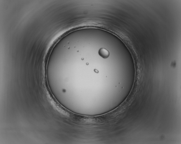 X0000116670792200912291657