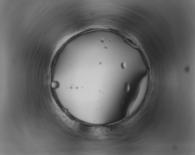 X0000116670795200912291657