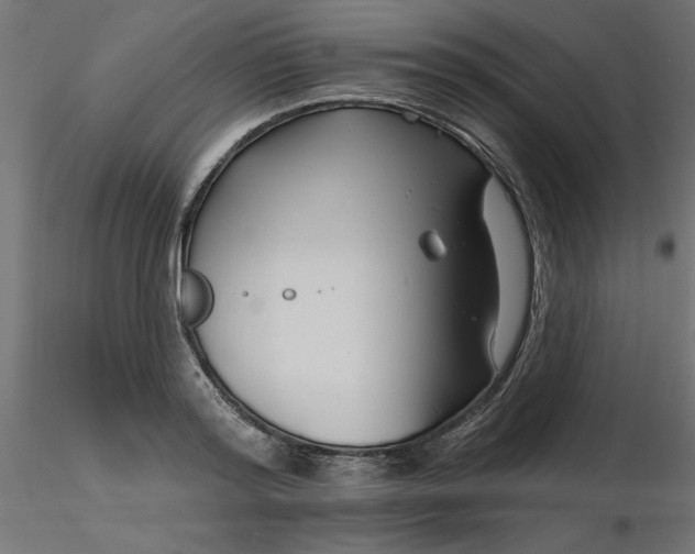 X0000116670796200912291657