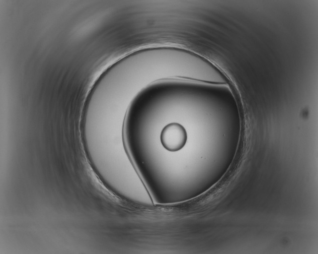 X0000116670797200912291657