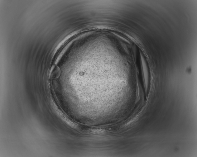 X0000116670798200912291657