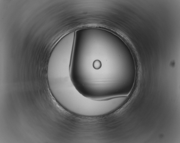 X0000116670801200912291657