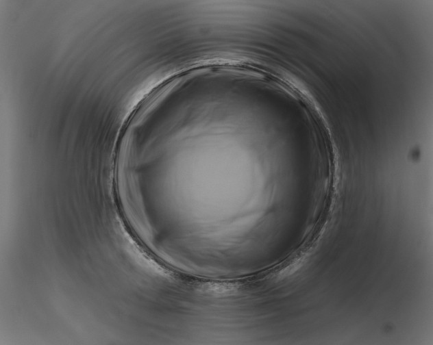 X0000116670802200912291657