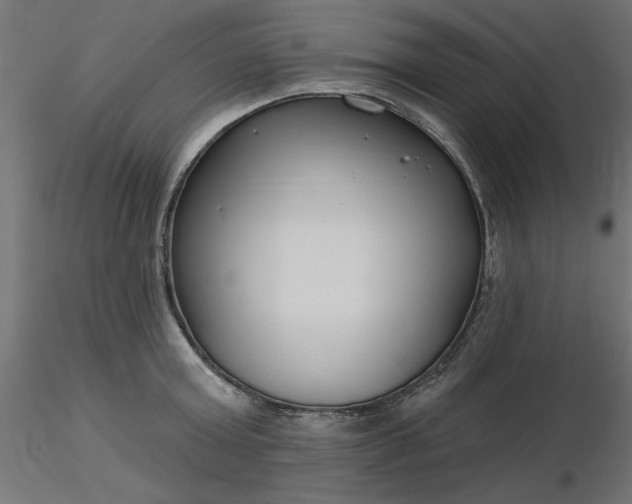 X0000116670803200912291657