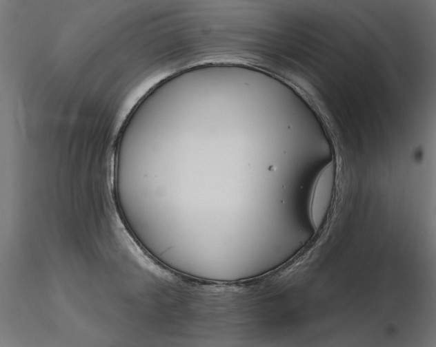 X0000116670804200912291657