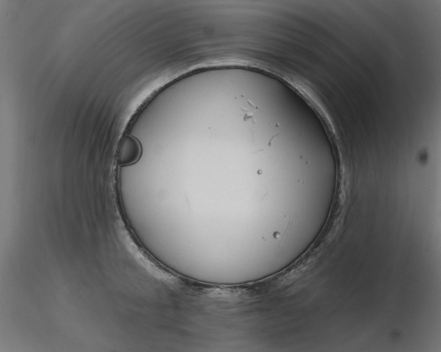 X0000116670805200912291657