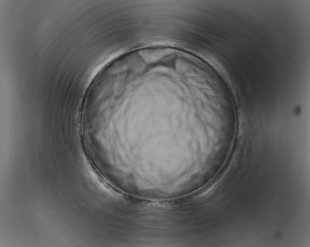 X0000116670806200912291657