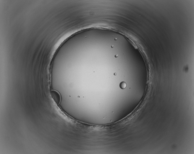 X0000116670808200912291657