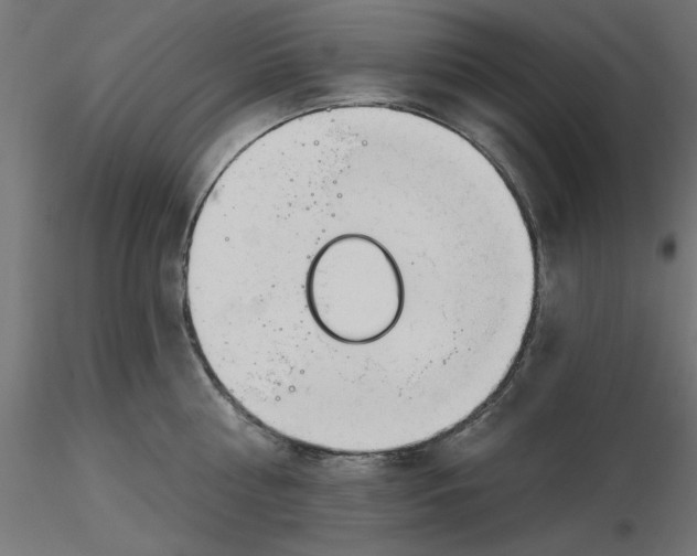 X0000116670810200912291657