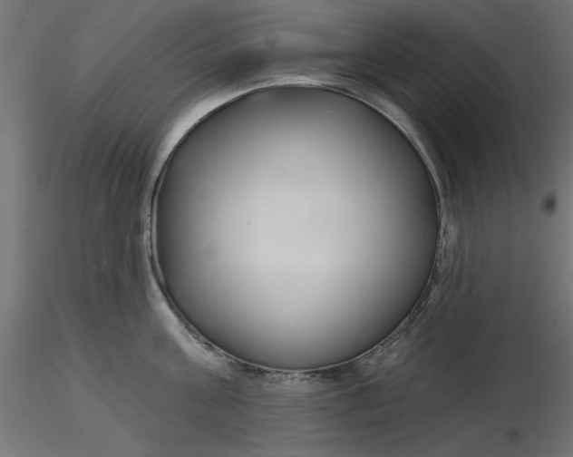 X0000116670811200912291657