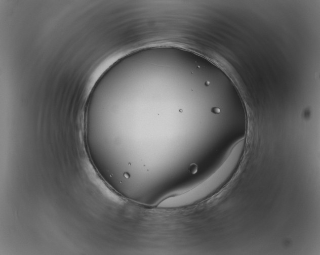 X0000116670812200912291657