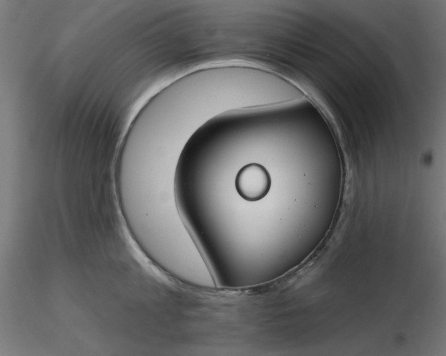 X0000116670813200912291657