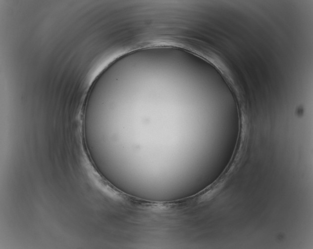 X0000116670814200912291657