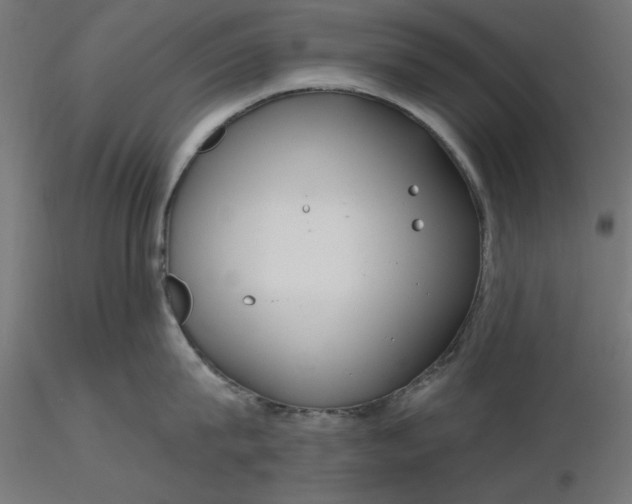 X0000116670815200912291657